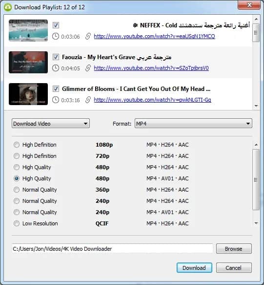 4K Video Downloader