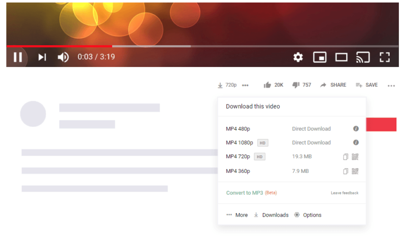 youtube video downloader chrome