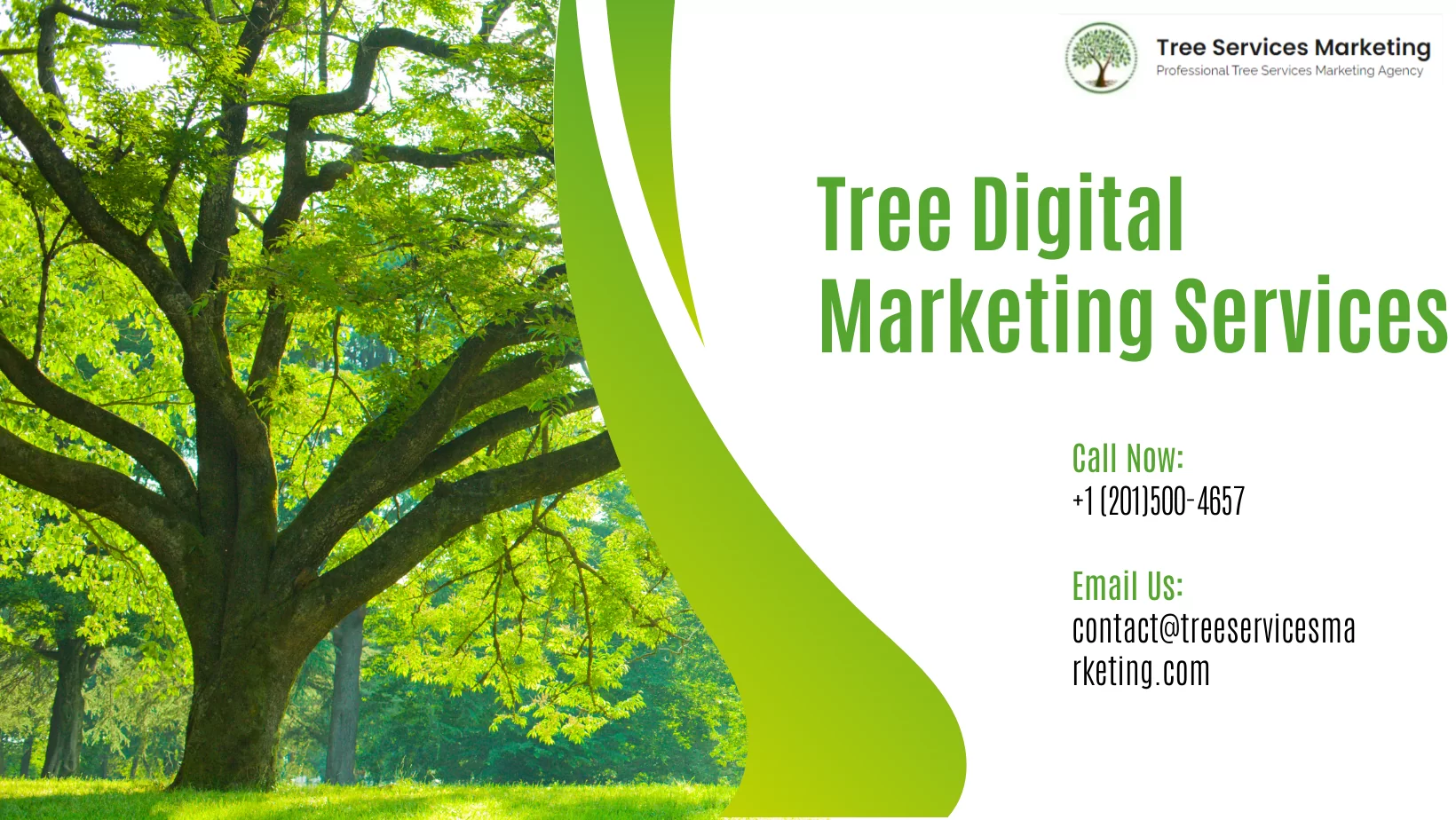 Tree-Digital-Marketing-Services