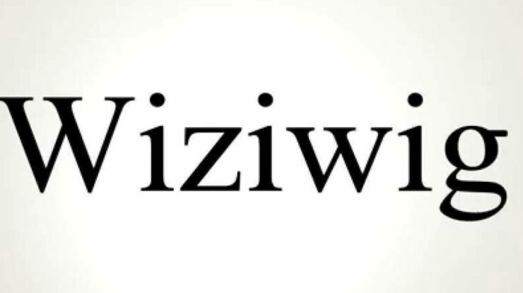 Wiziwig