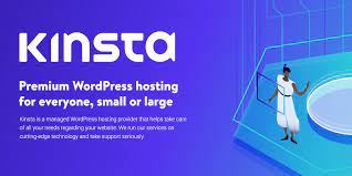 Kinsta Premium WordPress Hosting