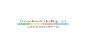 Digging Deeper into Audience Reports in Google Analytics