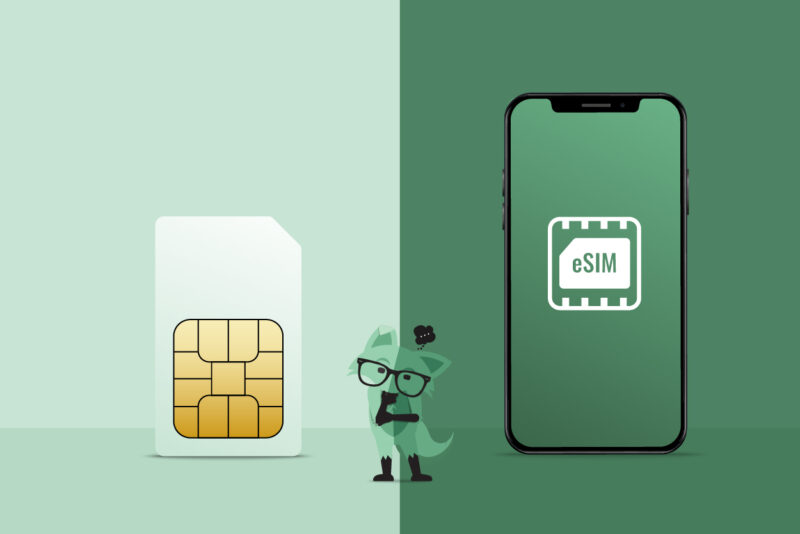 What Kind of Data Does a SIM Card Store?